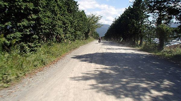 フラットダート